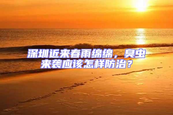 深圳近來(lái)春雨綿綿,臭蟲(chóng)來(lái)襲應(yīng)該怎樣防治?