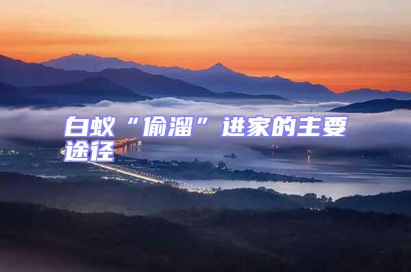 白蟻“偷溜”進家的主要途徑