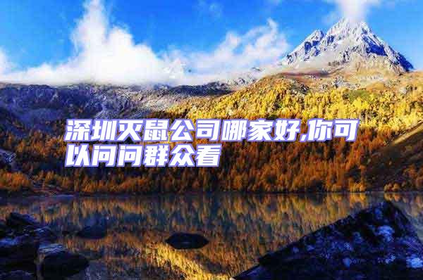 深圳滅鼠公司哪家好,你可以問問群眾看