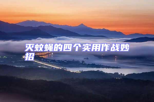 滅蚊蠅的四個實用作戰(zhàn)妙招