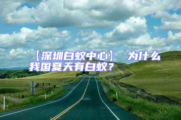 【深圳白蟻中心】 為什么我國(guó)夏天有白蟻?