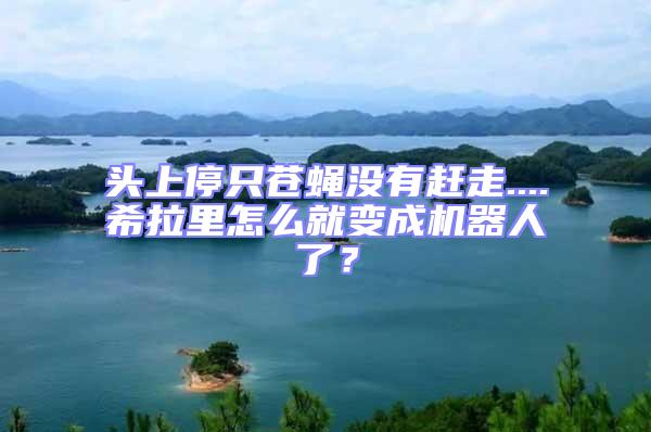 頭上停只蒼蠅沒有趕走....希拉里怎么就變成機(jī)器人了？