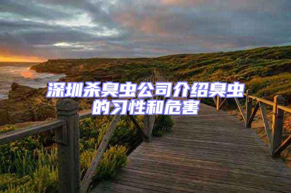 深圳殺臭蟲公司介紹臭蟲的習性和危害