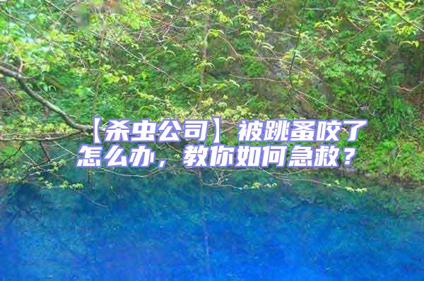 【殺蟲公司】被跳蚤咬了怎么辦,教你如何急救?