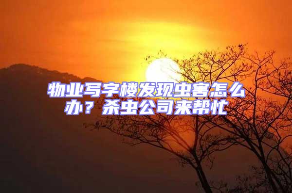 物業(yè)寫字樓發(fā)現(xiàn)蟲害怎么辦?殺蟲公司來幫忙