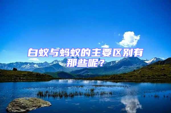 白蟻與螞蟻的主要區(qū)別有那些呢?