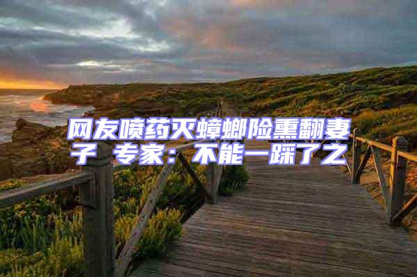 網友噴藥滅蟑螂險熏翻妻子 專家:不能一踩了之