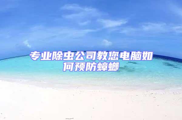 專業(yè)除蟲公司教您電腦如何預防蟑螂