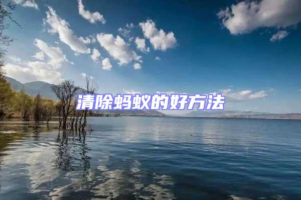清除螞蟻的好方法