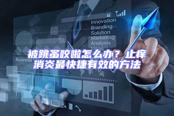 被跳蚤咬啦怎么辦?止癢消炎最快捷有效的方法