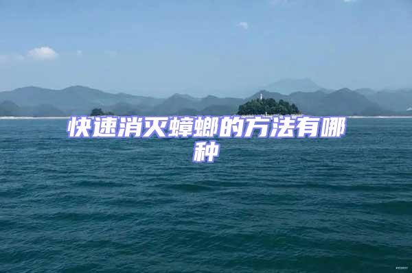 快速消滅蟑螂的方法有哪種