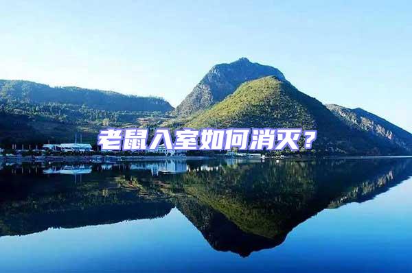 老鼠入室如何消滅?