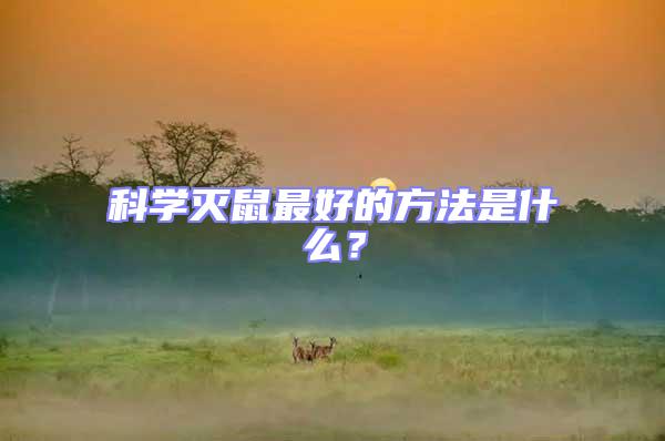 科學滅鼠最好的方法是什么?