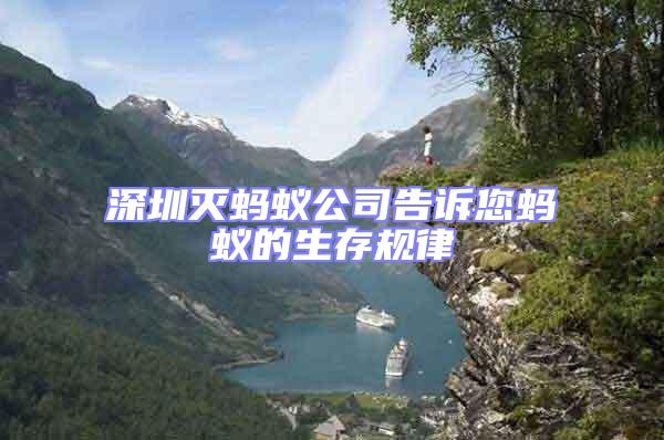 深圳滅螞蟻公司告訴您螞蟻的生存規(guī)律