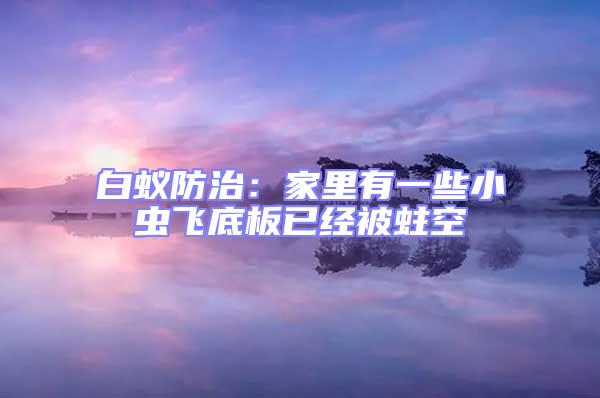 白蟻防治:家里有一些小蟲飛底板已經被蛀空
