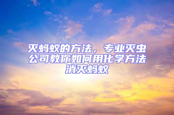 滅螞蟻的方法,專業滅蟲公司教你如何用化學方法消滅螞蟻