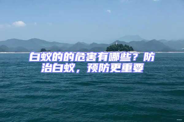 白蟻的的危害有哪些？防治白蟻，預(yù)防更重要