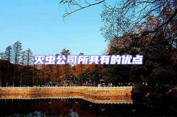 滅蟲公司所具有的優(yōu)點(diǎn)