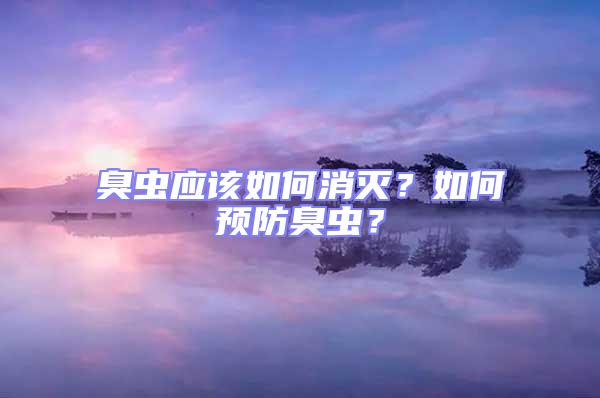 臭蟲應(yīng)該如何消滅？如何預(yù)防臭蟲？