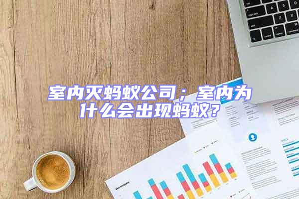 室內滅螞蟻公司;室內為什么會出現螞蟻?