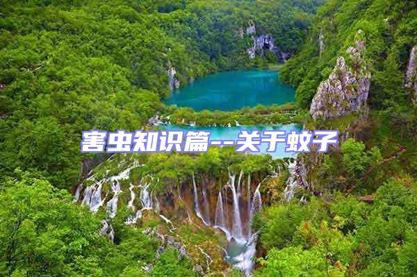 害蟲知識(shí)篇--關(guān)于蚊子