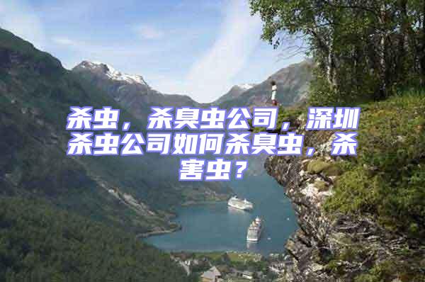 殺蟲,殺臭蟲公司,深圳殺蟲公司如何殺臭蟲,殺害蟲?