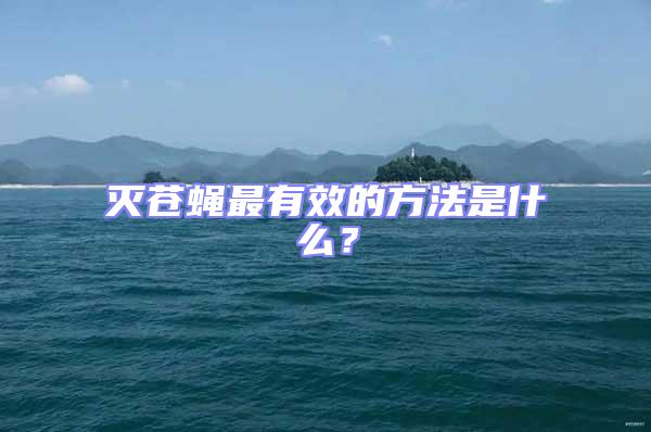 滅蒼蠅最有效的方法是什么?