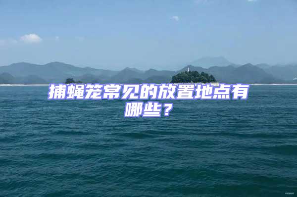 捕蠅籠常見的放置地點有哪些?