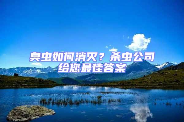 臭蟲如何消滅？殺蟲公司給您最佳答案