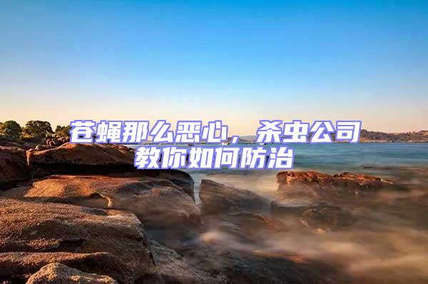 蒼蠅那么惡心,殺蟲(chóng)公司教你如何防治