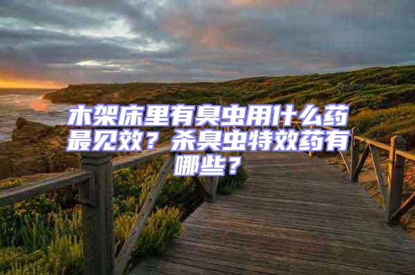 木架床里有臭蟲(chóng)用什么藥最見(jiàn)效？殺臭蟲(chóng)特效藥有哪些？
