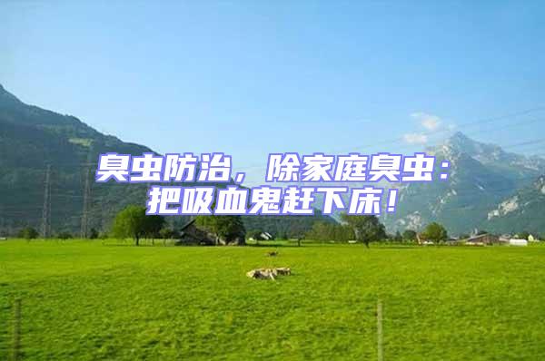 臭蟲防治，除家庭臭蟲：把吸血鬼趕下床！