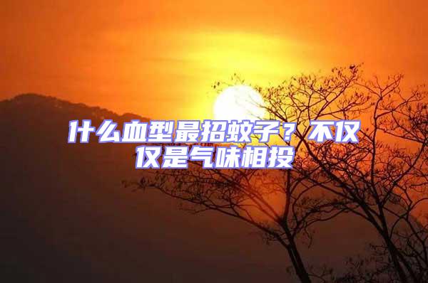 什么血型最招蚊子?不僅僅是氣味相投
