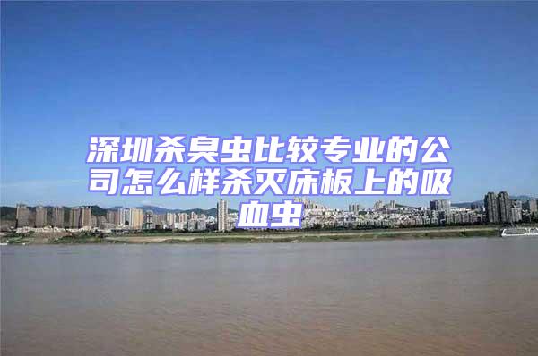 深圳殺臭蟲比較專業的公司怎么樣殺滅床板上的吸血蟲