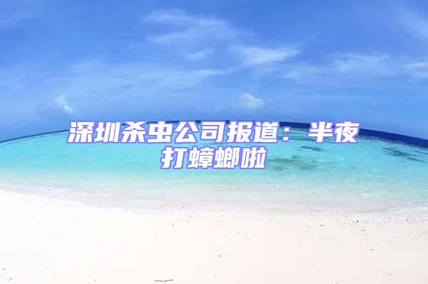 深圳殺蟲公司報道:半夜打蟑螂啦