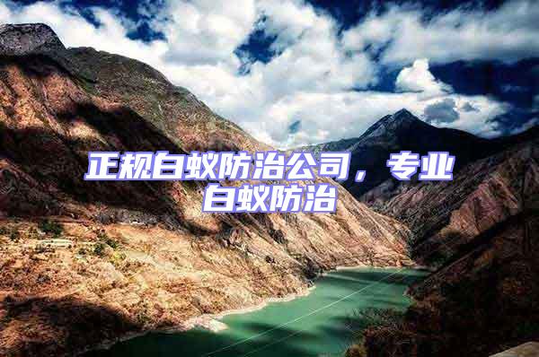 正規(guī)白蟻防治公司，專業(yè)白蟻防治