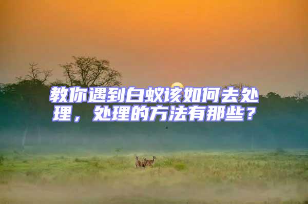 教你遇到白蟻該如何去處理,處理的方法有那些?