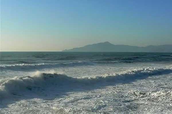 老鼠怕什么東西？怕什么味道和聲音？