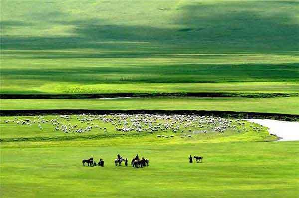 孩子防蚊,被燒成重傷!只因為媽媽無知!