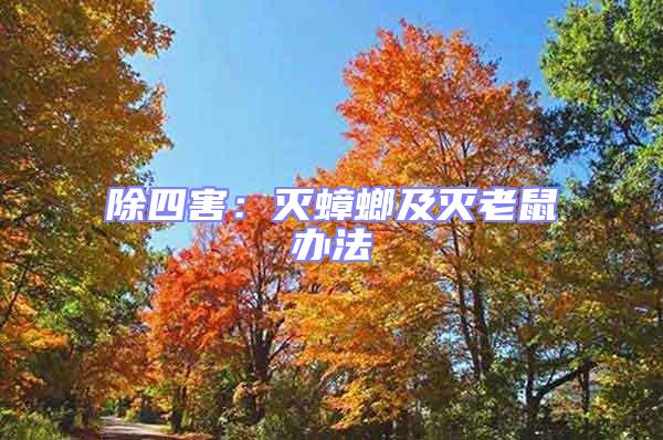 除四害:滅蟑螂及滅老鼠辦法