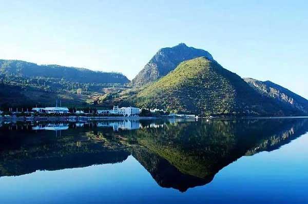 辦公室發(fā)現(xiàn)老鼠怎么辦?滅鼠公司出高招