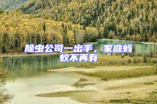 除蟲公司一出手,家庭螞蟻不再有