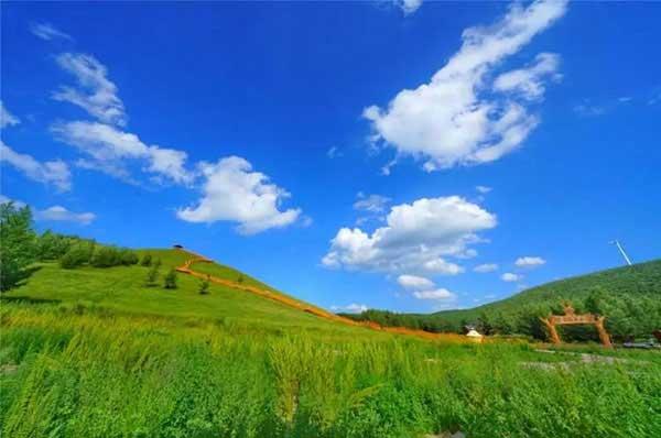 蟑螂繁殖的有多快?