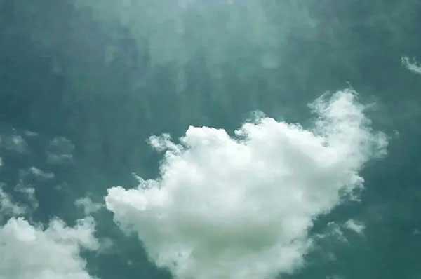 防治白蟻:成熟的蟻群會(huì)產(chǎn)生大量的繁殖蟻進(jìn)行分群