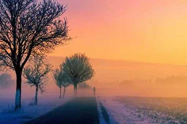 為什么蚊子永遠不會被雨砸死?別被孩子問住了