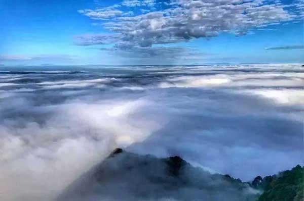 別拿蚊子不當回事兒,它們的危害可不止讓你癢得難受!