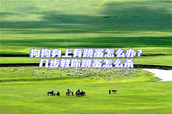 狗狗身上有跳蚤怎么辦?幾步教你跳蚤怎么殺