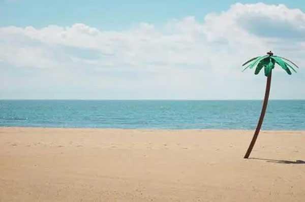 深圳專業滅蚊蠅公司