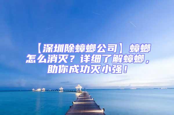 【深圳除蟑螂公司】蟑螂怎么消滅？詳細了解蟑螂，助你成功滅小強！