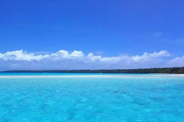 臭蟲危害多,如何消滅臭蟲?